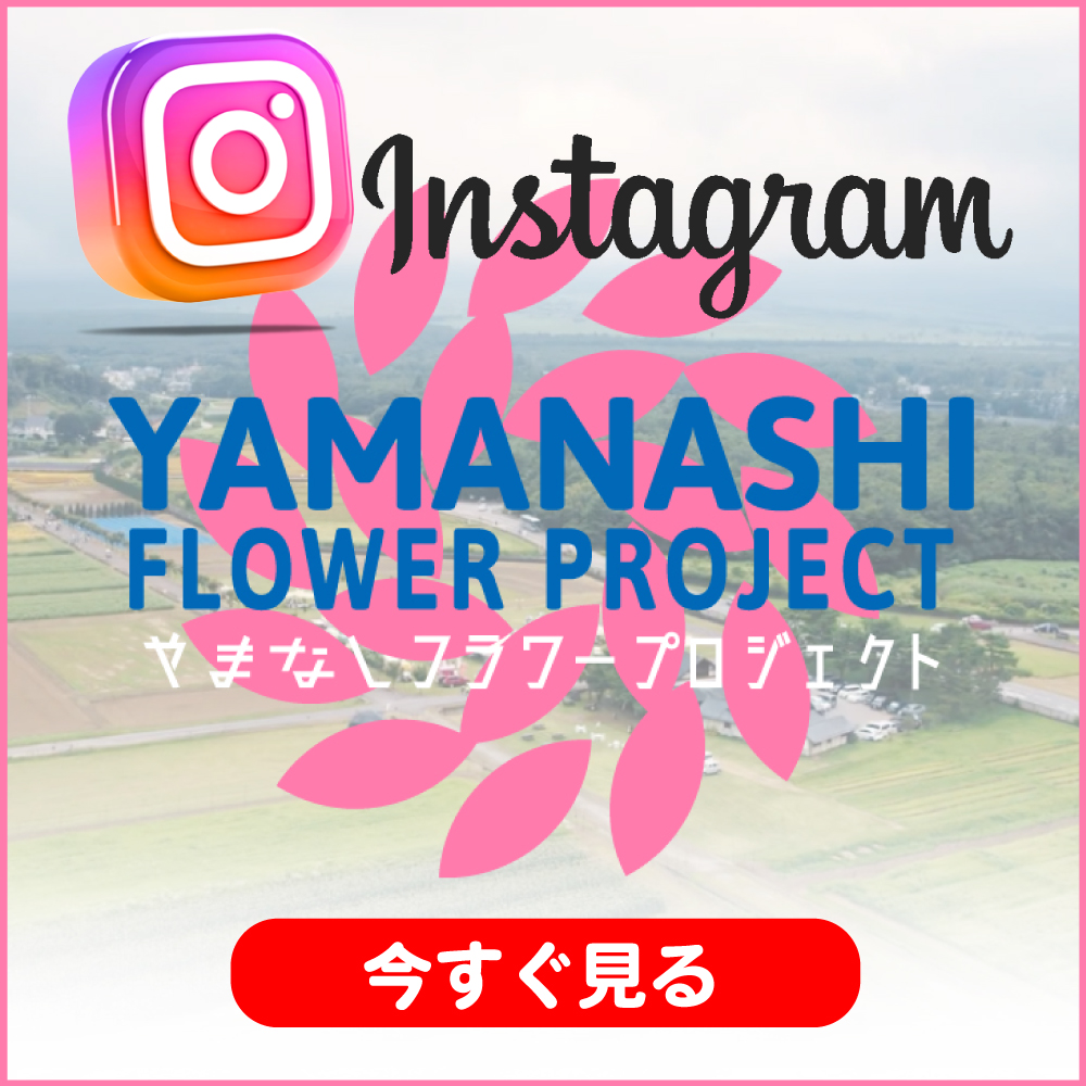 インスタグラム