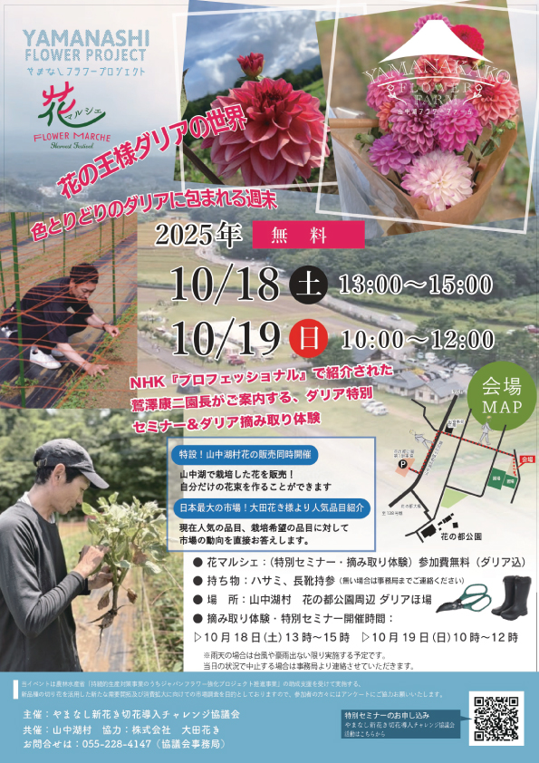 山中湖 ダリア　摘み取り　体験